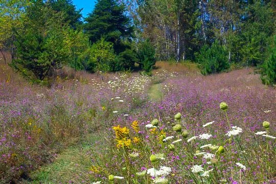 Whitewater Township Park Campground gallery 2