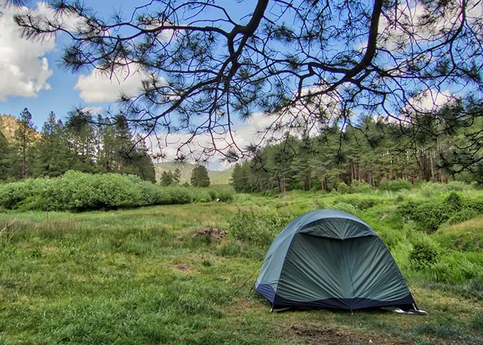 Fenton Lake State Park — Fenton Lake Fishing Area (and Dam) gallery 3