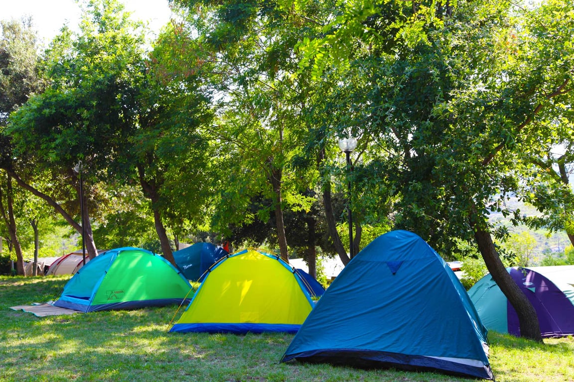 Green Family Park Europa gallery 4