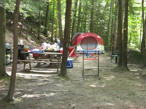 Walker Island Family Camping