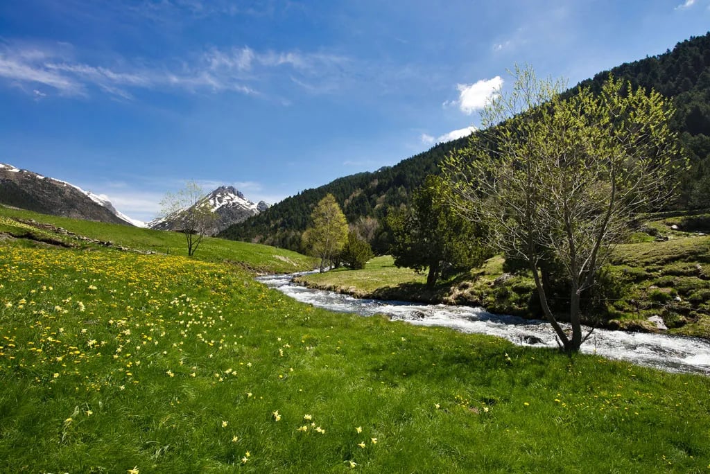 Camping Font de Ferrocins gallery 1