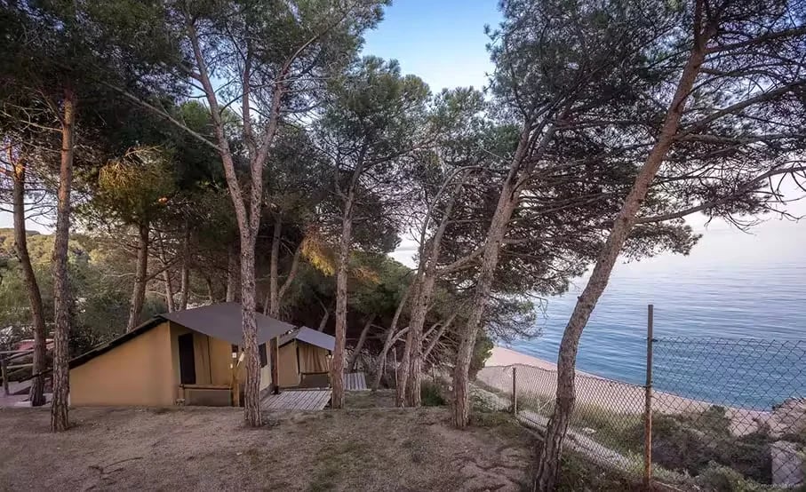 Camping Kanguro gallery 3