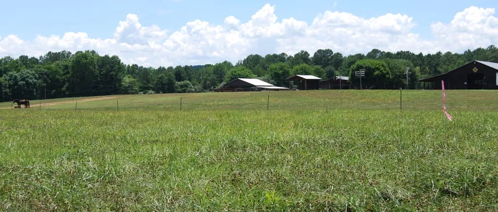 4B Farm and CampGround gallery 2