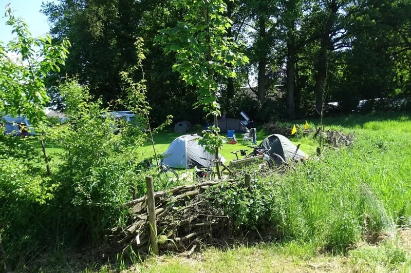 Camping De Adelaar gallery 2