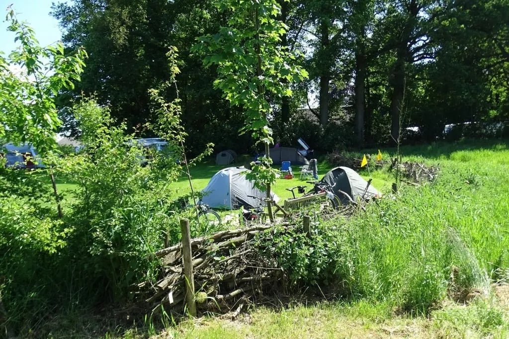 Camping De Adelaar gallery 2