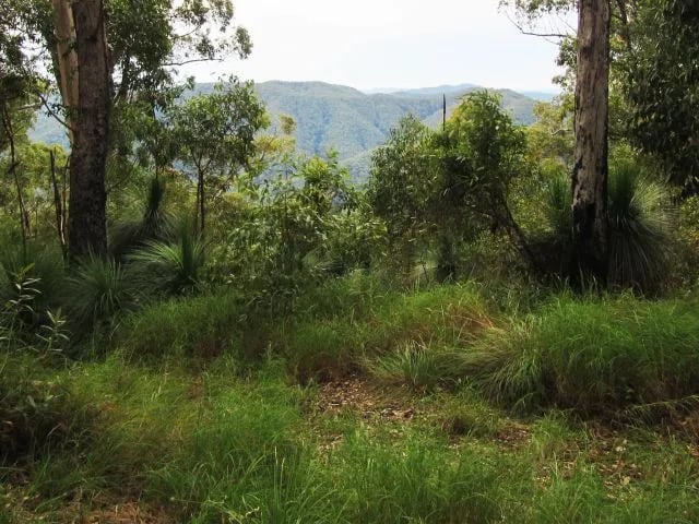 Northbrook Mountain remote bush camp, D’Aguilar National Park gallery 1