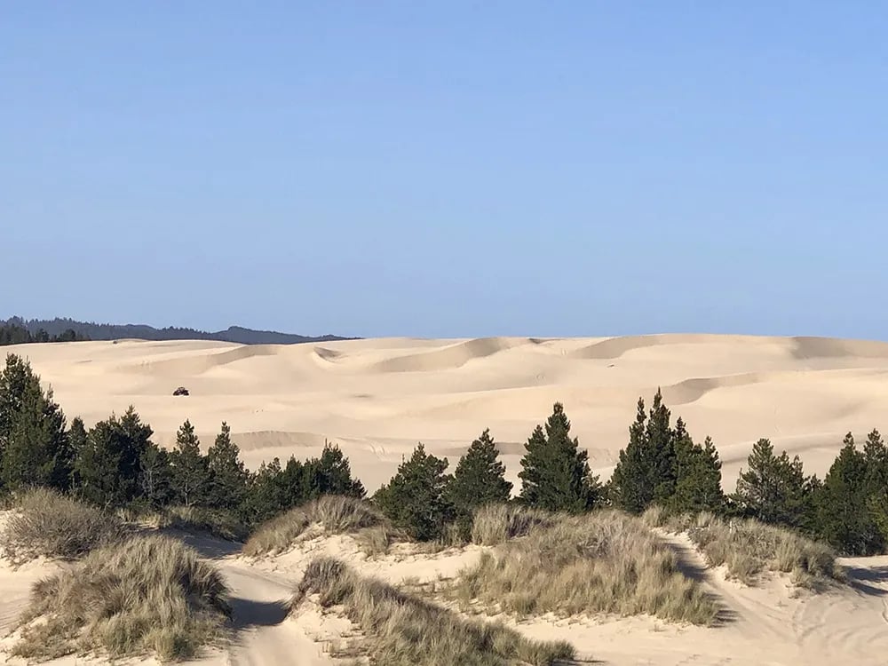 Boxcar Hill Campground gallery 2