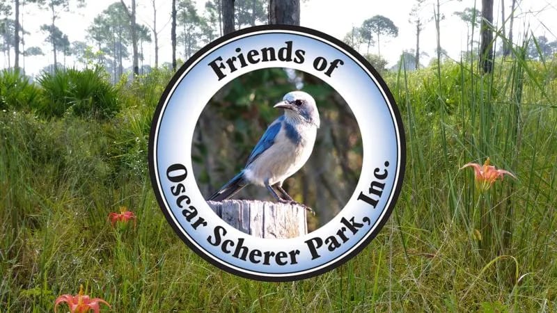 Oscar Scherer State Park Campground gallery 2