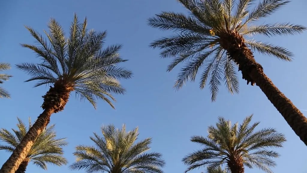 Texoma Shores RV Resort