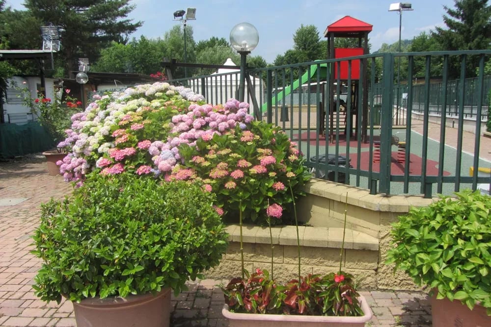 Camping Internazionale No Stress gallery 2