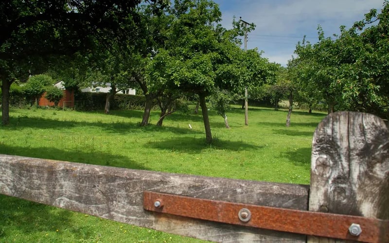 Higher Coarsewell Farm gallery 1