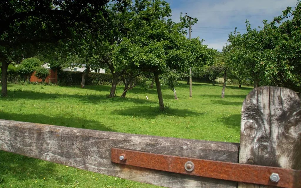 Higher Coarsewell Farm gallery 1