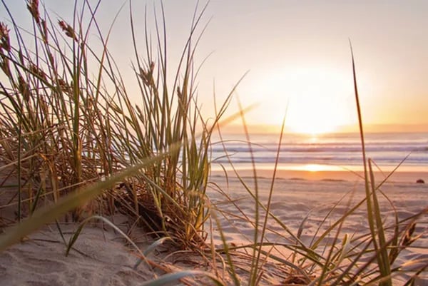 Cold Springs Camp Resort Inc gallery 2