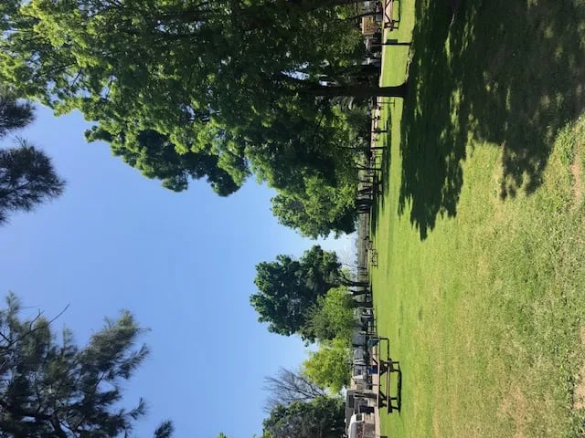 Turner Cut Resort gallery 1