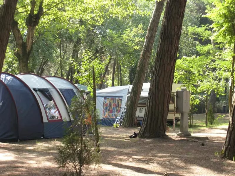 Piomboni Camping Village gallery 1