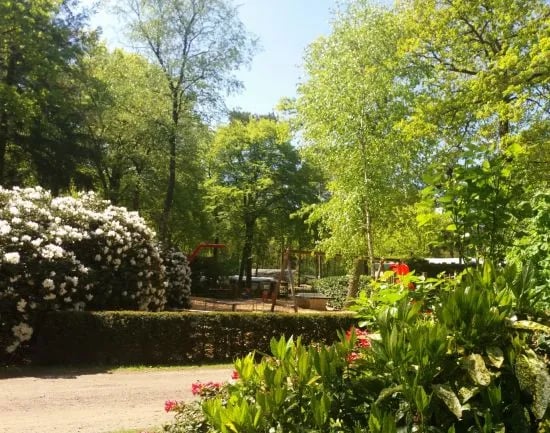 Camping Zuid Ginkel gallery 2