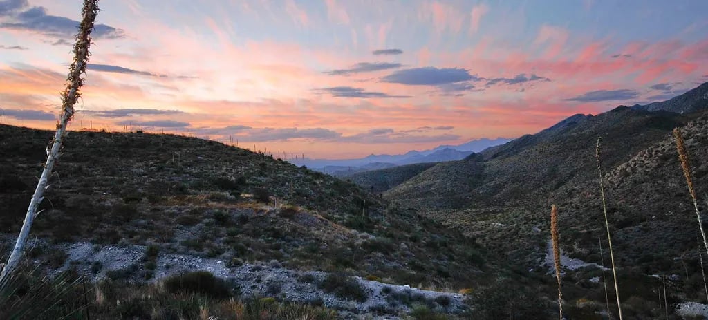 Franklin Mountains State Park Campground gallery 3