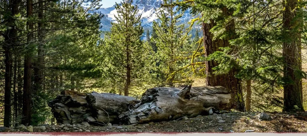 The Village at Highlands Ranch gallery 2