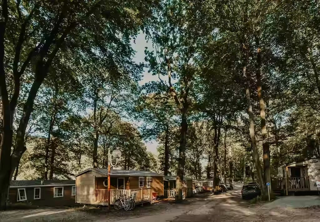 Flower Camping Chenaie gallery 1