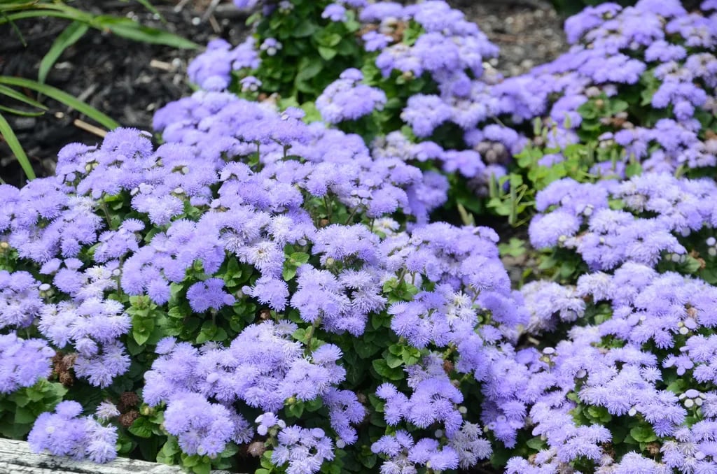 Granite Hill Camping Resort