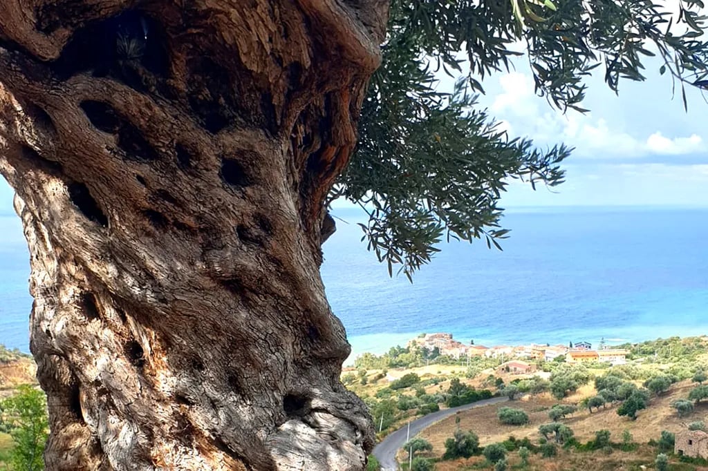 Terre di Tusa gallery 2