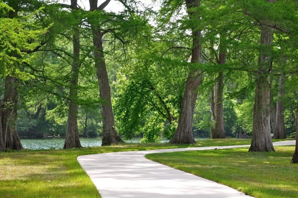 Guadalupe River Rentals RV Campground gallery 1