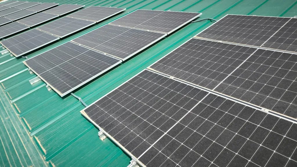 Societat Agrícola Siurana gallery 2