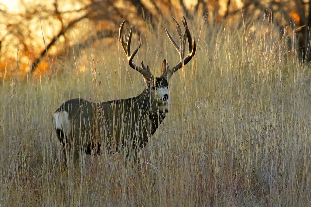 Cherry Creek State Park gallery 1