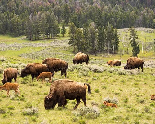 Valley View RV Park gallery 2