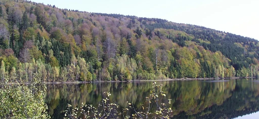 Camping Green Village gallery 2