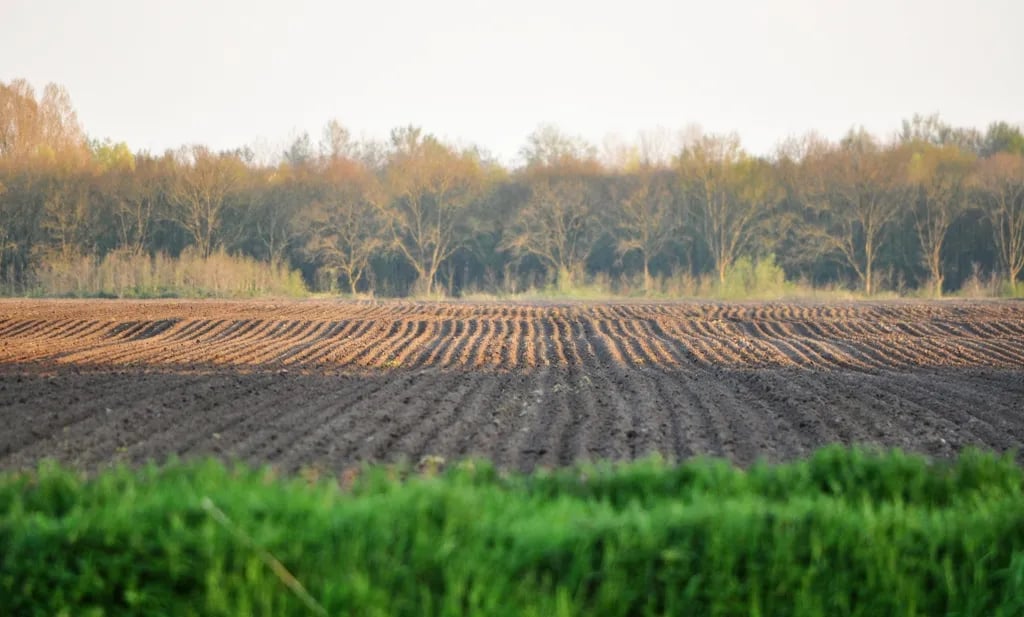 Mini Camping Blauwestadhoeve