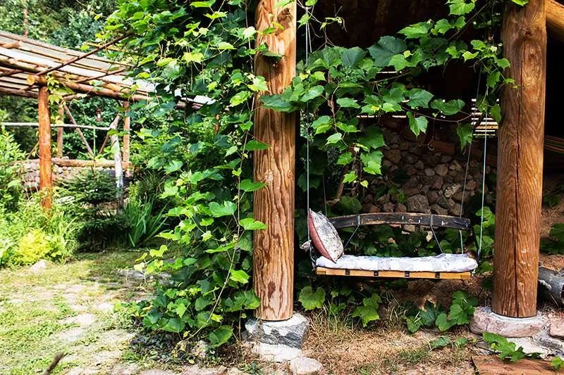 Agroecology Hutor of Komaryszkii gallery 1