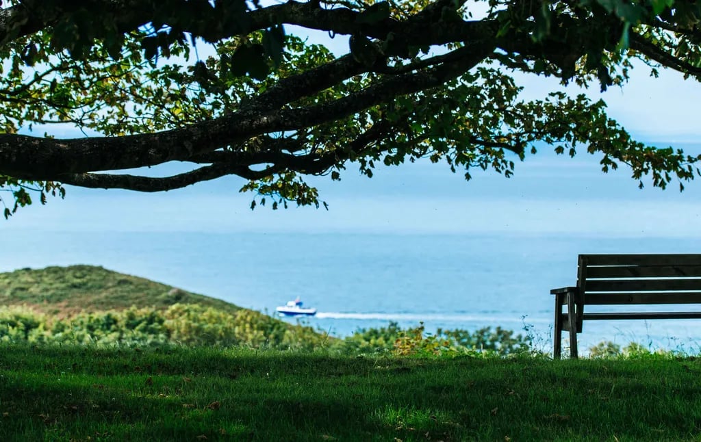 Little Meadow Caravan and Camping Site gallery 3