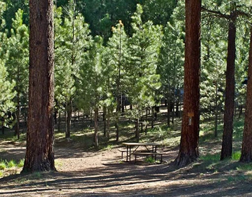 Kaibab Camper Village