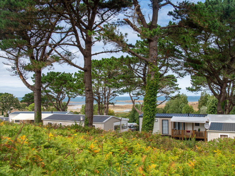 Flower Camping Port la Chaîne