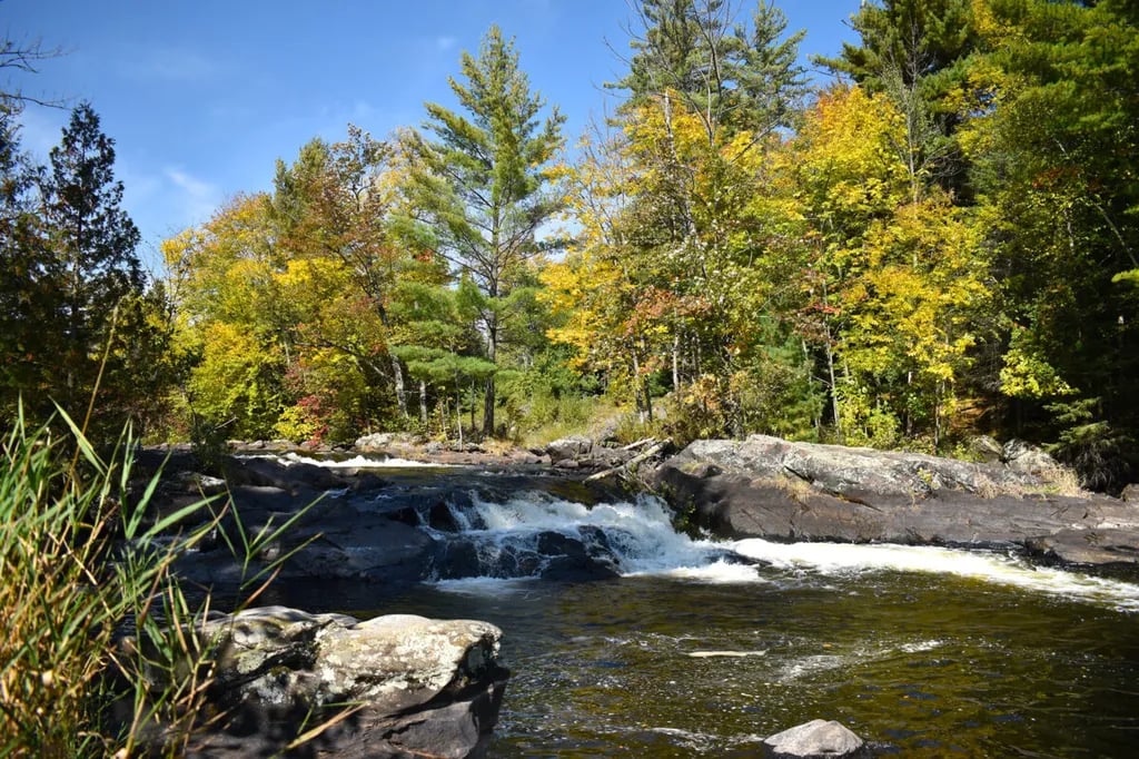 Upson Community Park gallery 3