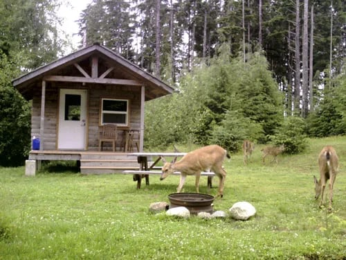 Lost Resort at Lake Ozette — Olympic National Park gallery 1
