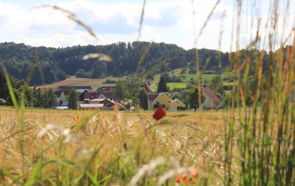 Camping am Hauenstein gallery 3