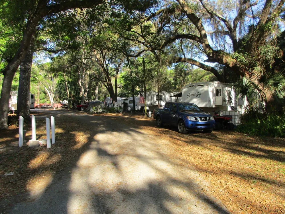 St Johns River Campground gallery 2