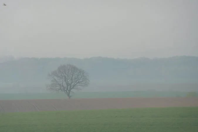 Campingplatz Damp **** gallery 2