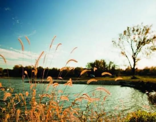 Horseshoe Pond gallery 1