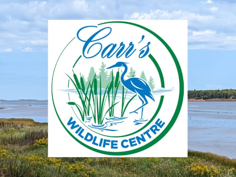 Cabot Beach Provincial Park