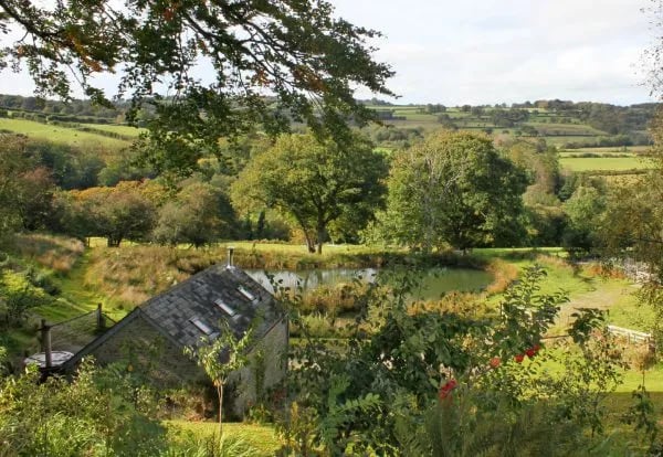 Canvas and Campfires gallery 3