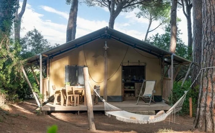 International Etruria gallery 4