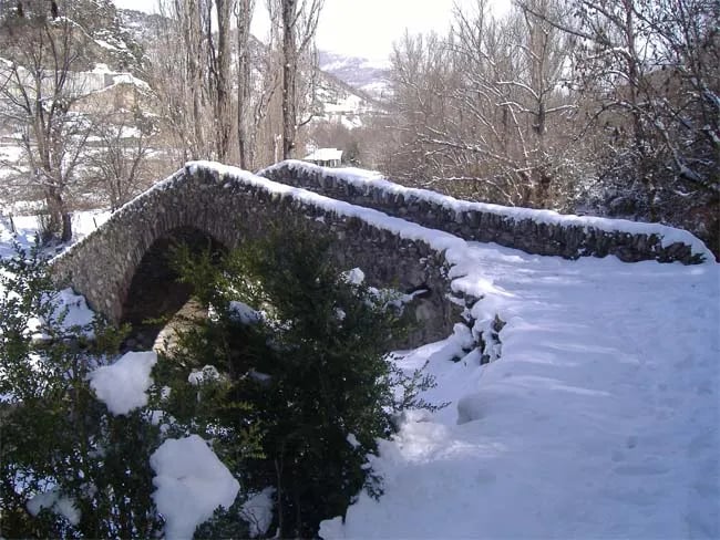 Camping del Remei gallery 2
