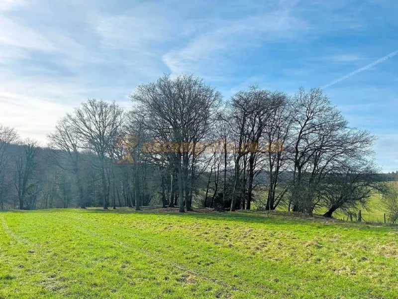 Newbarn Lakes Camping