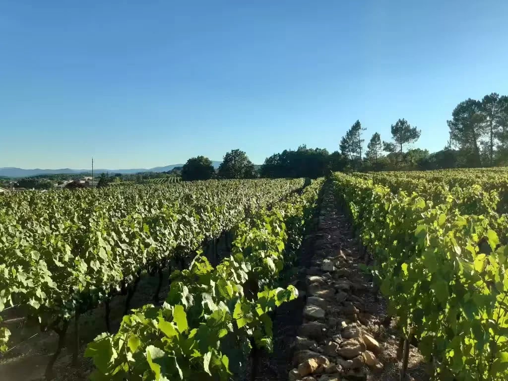 Camping Du Vignal gallery 2