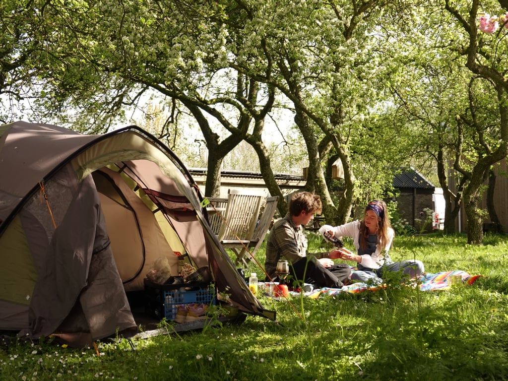 Camping en benb Welgelegen Workum gallery 4