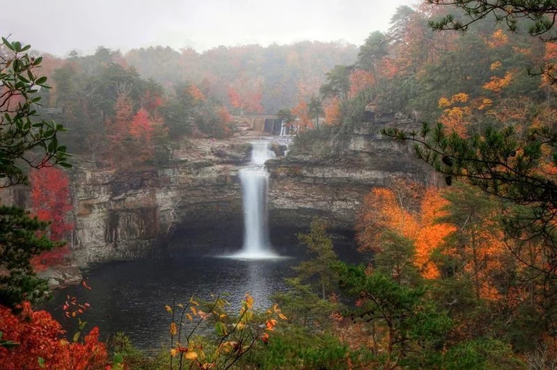 DeSoto State Park Campground gallery 1