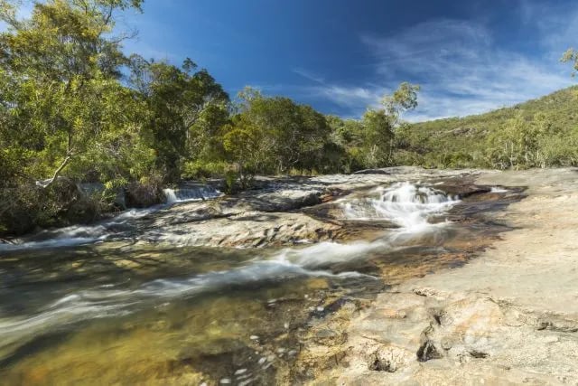 Davies Creek, Dinden National Park gallery 2